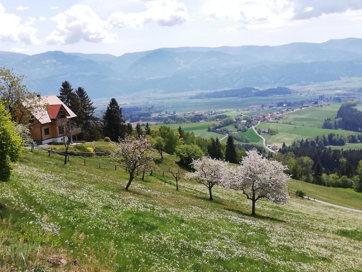 Ferienhaus Hochfelner Sankt Marein bei Knittelfeld Exterior foto