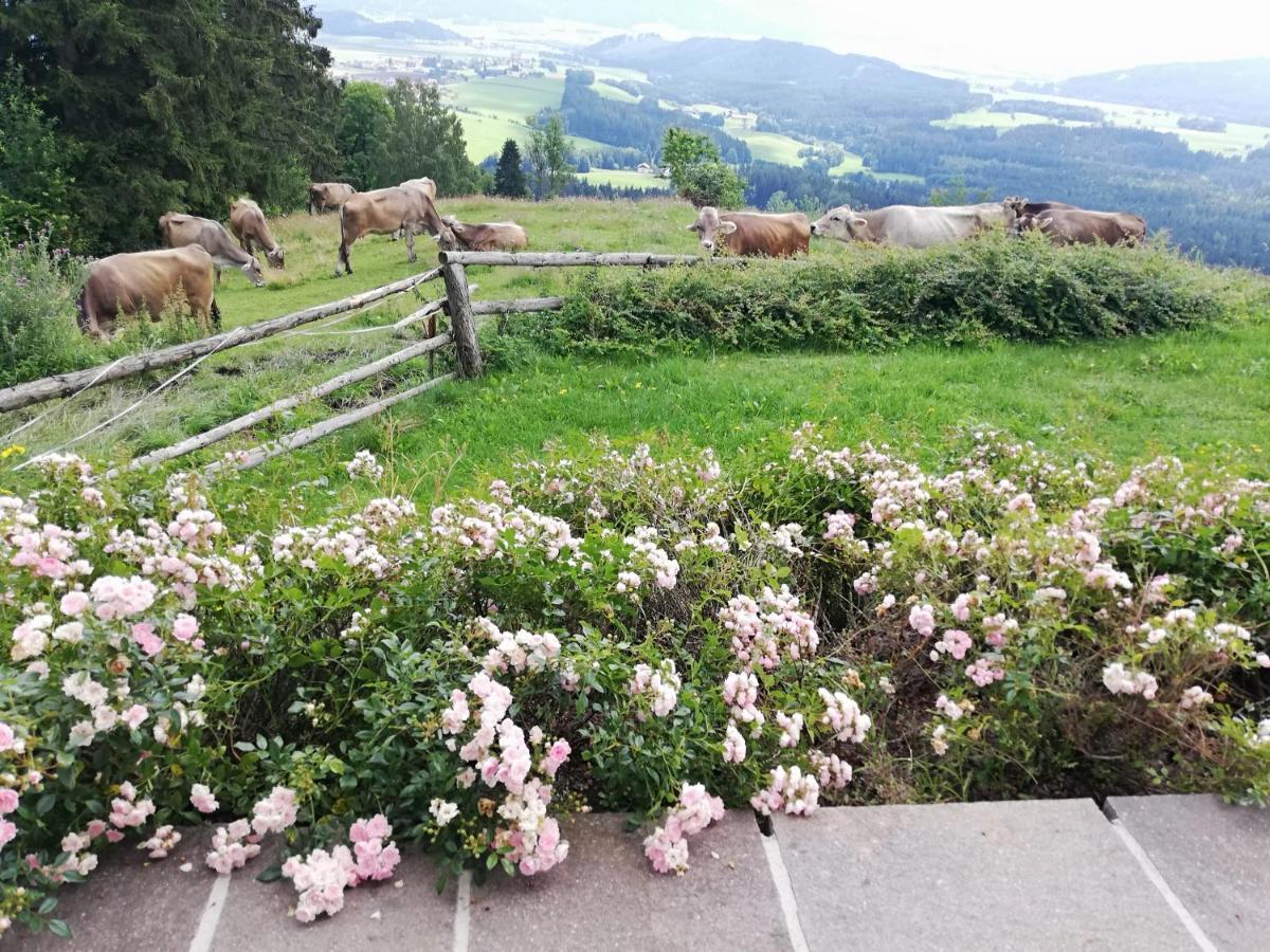 Ferienhaus Hochfelner Sankt Marein bei Knittelfeld Exterior foto