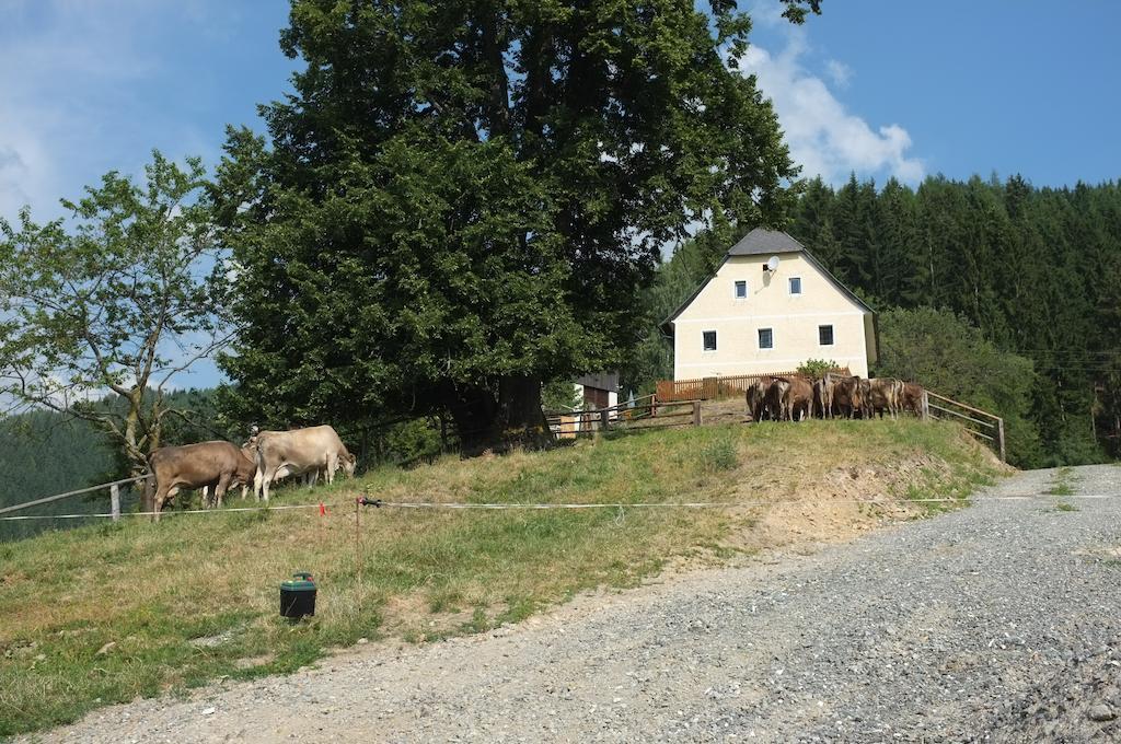 Ferienhaus Hochfelner Sankt Marein bei Knittelfeld Zimmer foto